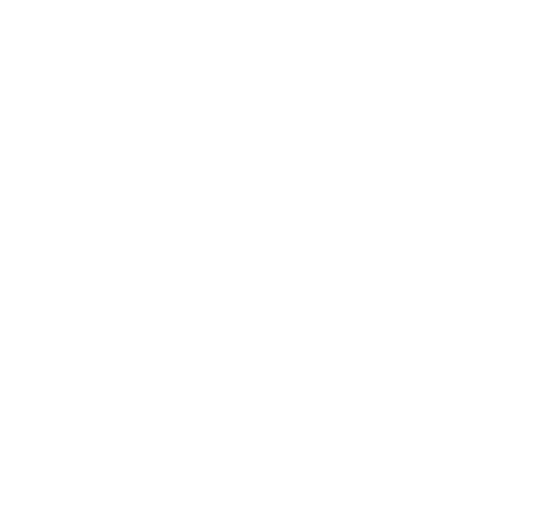BI Protection